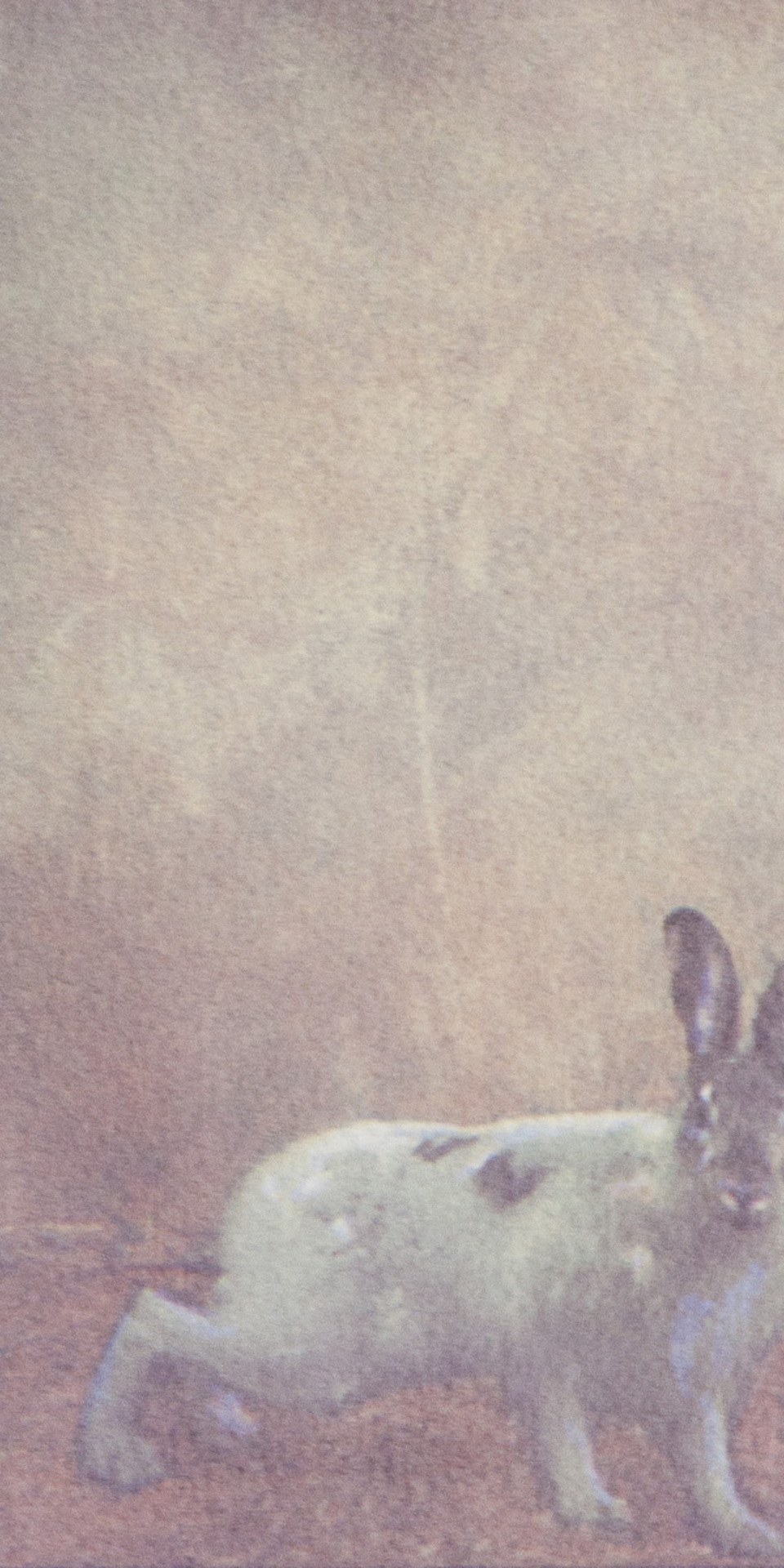 Jack Rabbit, Edmonton Variation 3